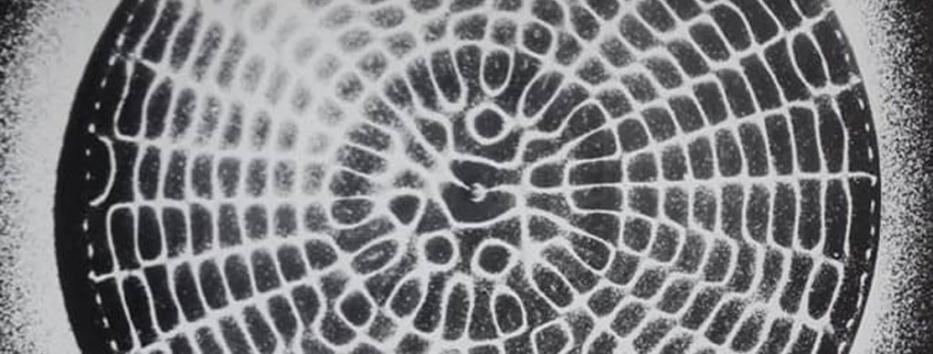 Open Lecture on: The Collective Trauma: An Intergenerational Element of Identity – 12 January 2019